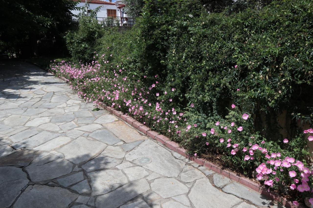 فيلا Angela House Agios Andreas  المظهر الخارجي الصورة